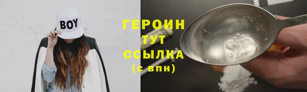 индика Козловка