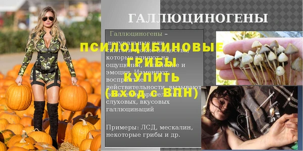 индика Козловка