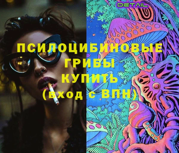 дживик Кинешма