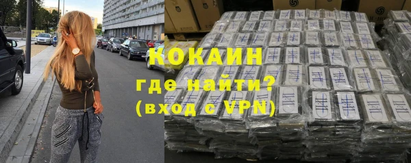 дживик Кинешма