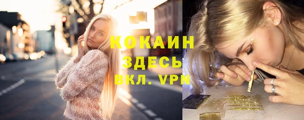 сатива Киреевск