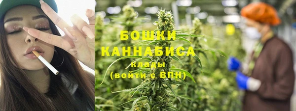 индика Козловка