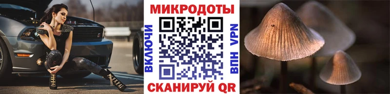 Купить закладки  Козельск  Псилоцибиновые грибы MAGIC MUSHROOMS 