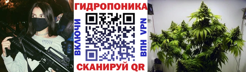 Марихуана семена  Купить закладки  Козельск 